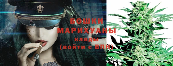 дживик Аркадак
