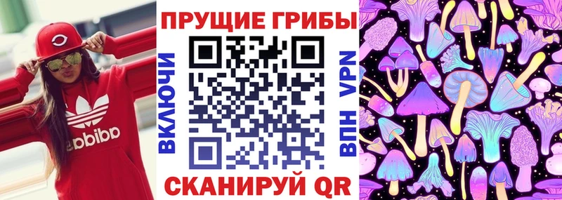 Галлюциногенные грибы ЛСД  это официальный сайт  Истра 